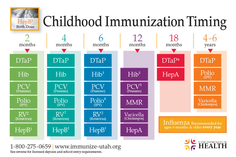 2024 Immunization Schedule Olga Tiffie