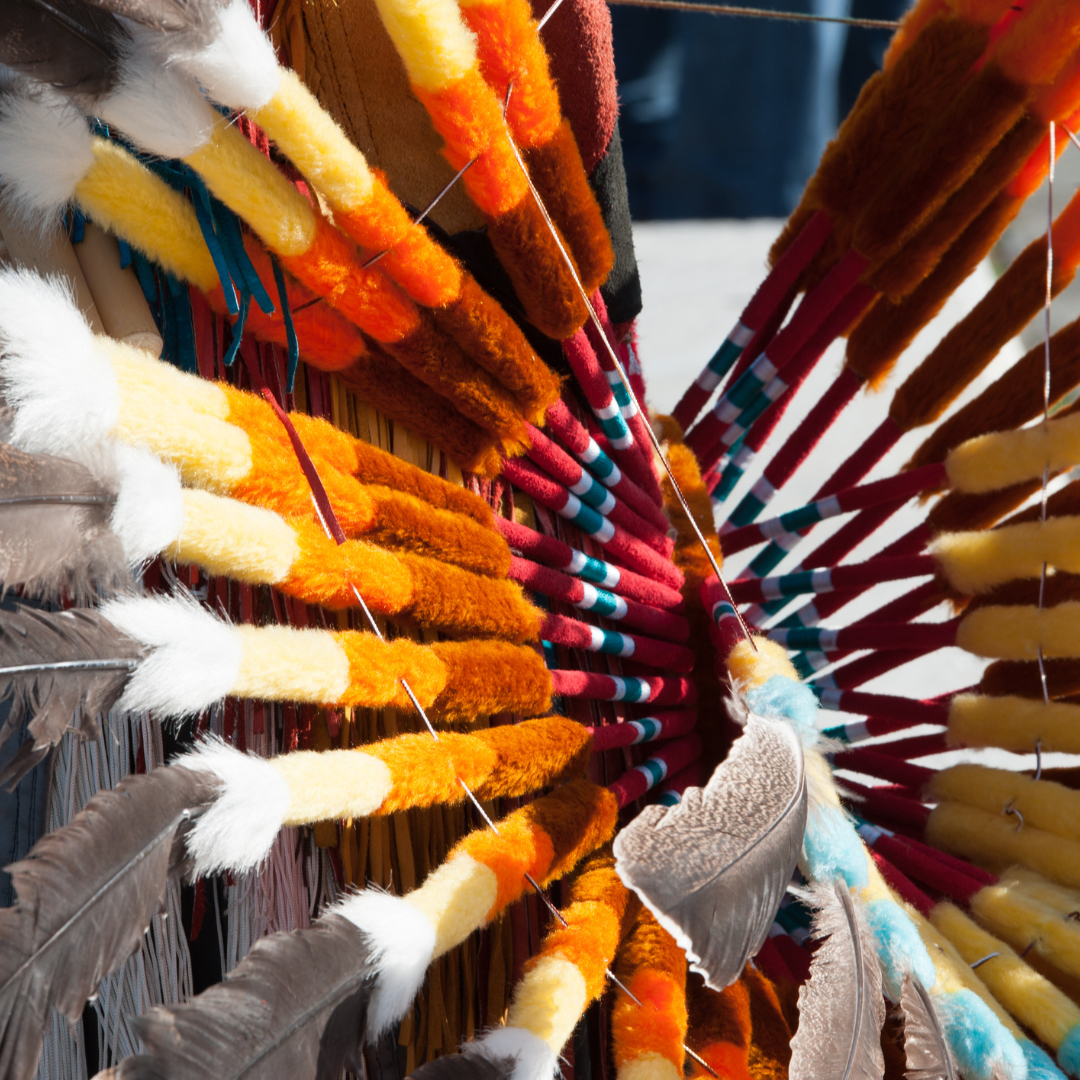 traditional native american feathers